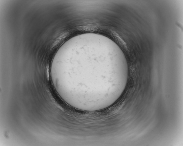 X0000094790020200712071239