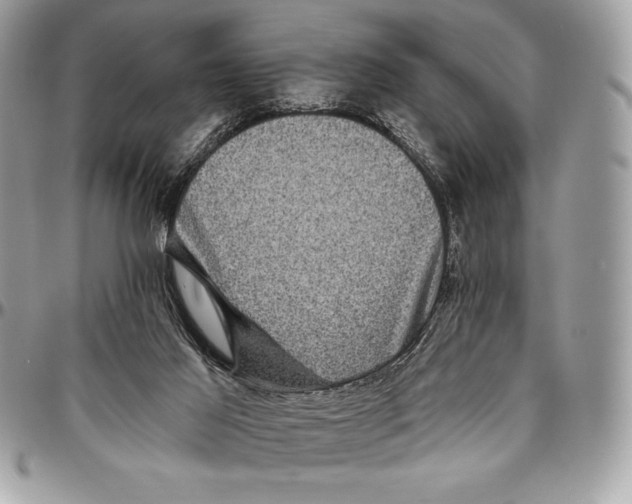 X0000094790021200712071239