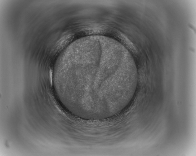 X0000094790022200712071239