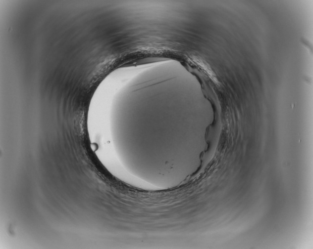 X0000094790023200712071238