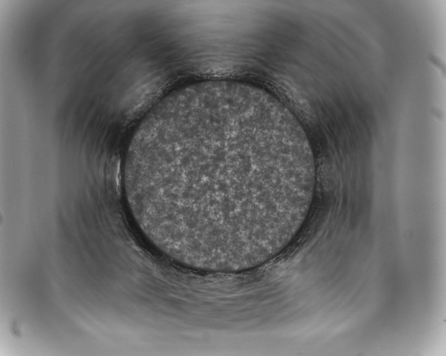 X0000094790024200712071238