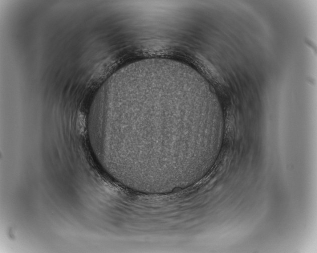 X0000094790025200712071238