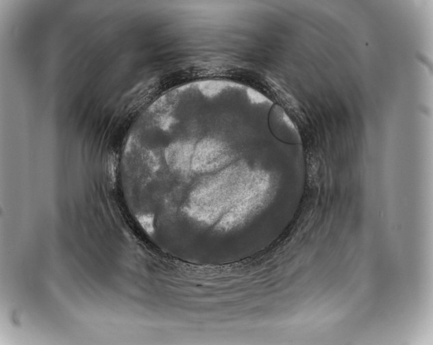 X0000094790026200712071238