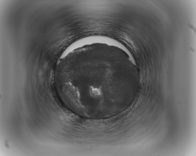 X0000094790029200712071238