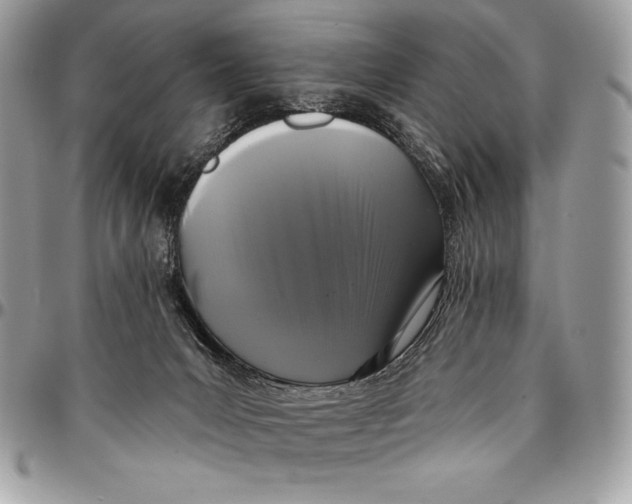 X0000094790031200712071238