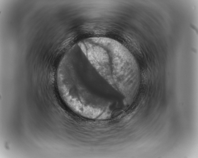 X0000094790032200712071238