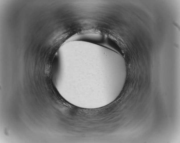 X0000094790033200712071238