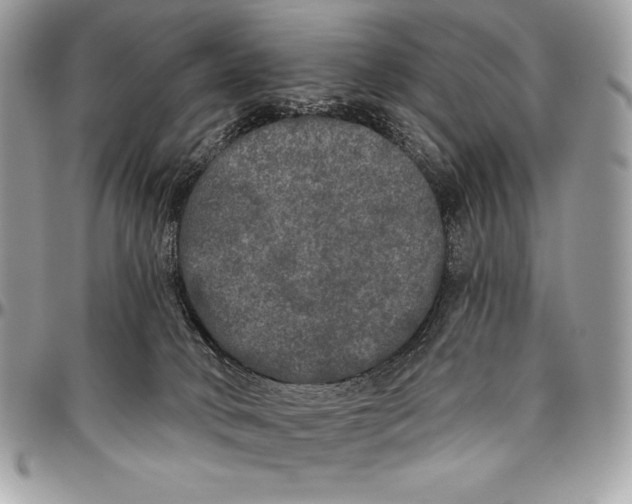 X0000094790034200712071238