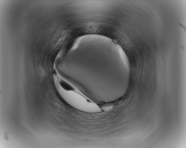 X0000094790035200712071238