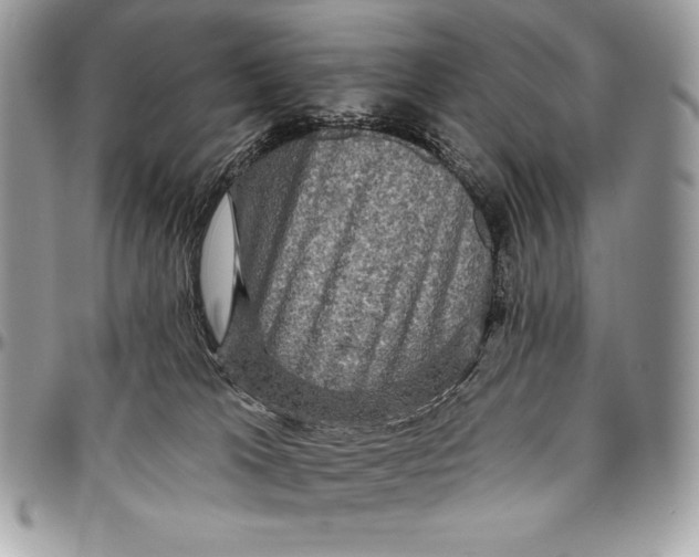 X0000094790037200712071238