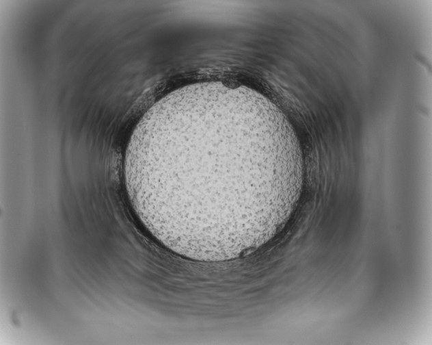 X0000094790038200712071238