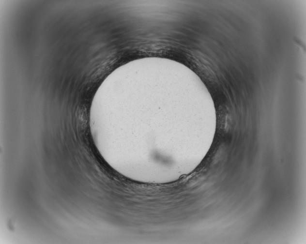 X0000094790040200712071238