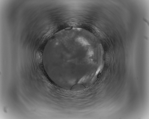 X0000094790043200712071238