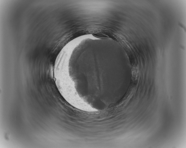 X0000094790046200712071238