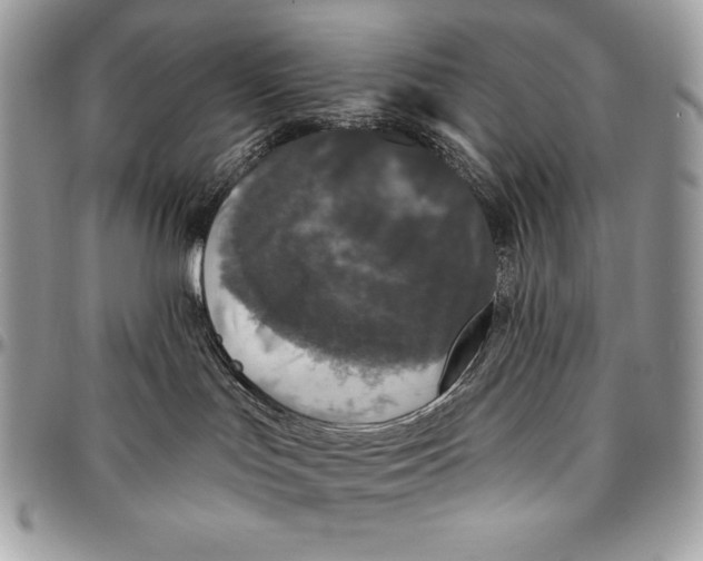 X0000094790047200712071238