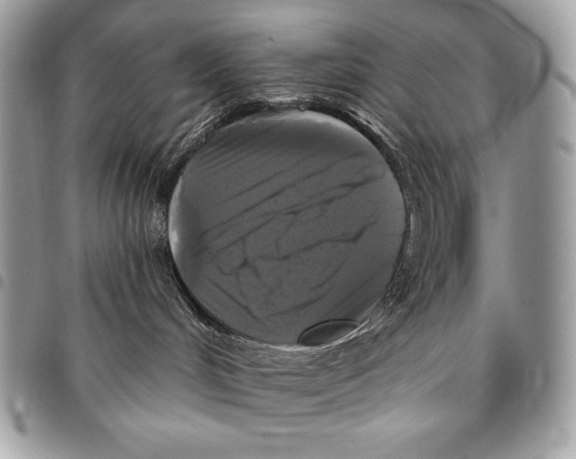 X0000094790048200712071238