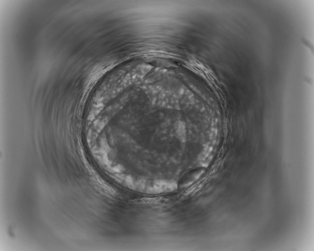 X0000094790049200712071237