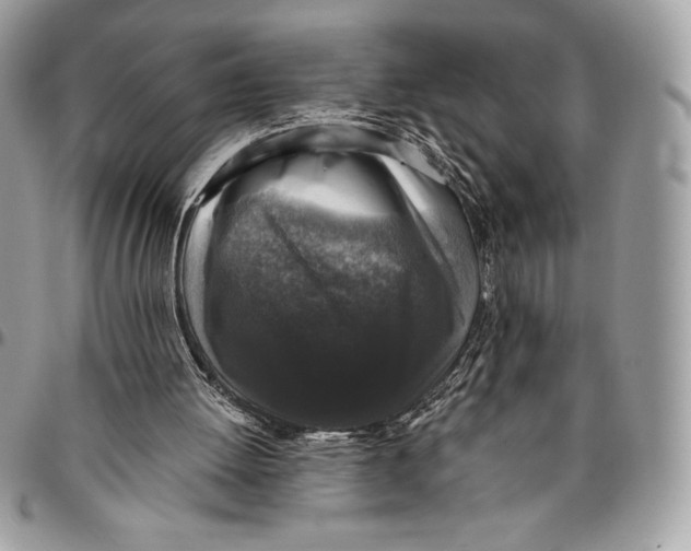 X0000094790052200712071237