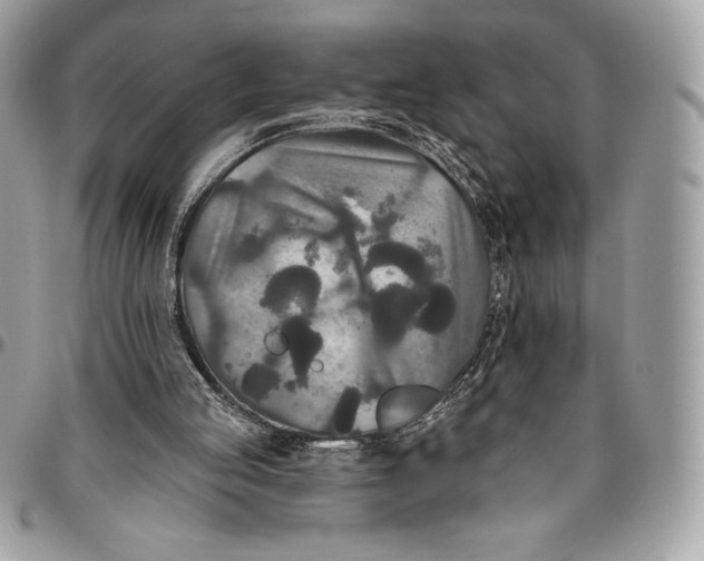 X0000094790053200712071237