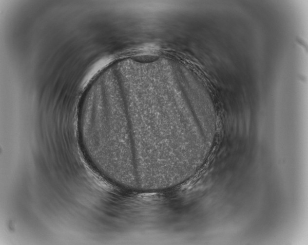 X0000094790054200712071237