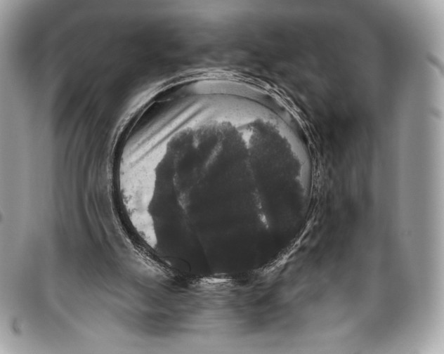 X0000094790055200712071237