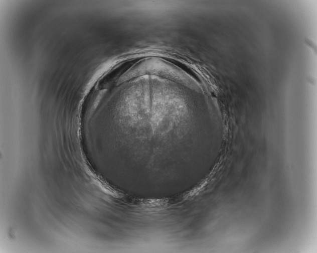 X0000094790056200712071237