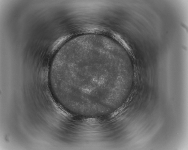 X0000094790058200712071237