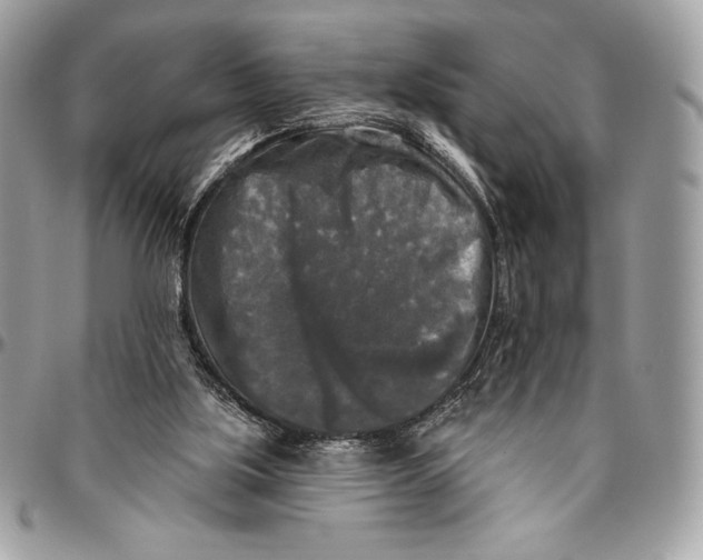 X0000094790059200712071237