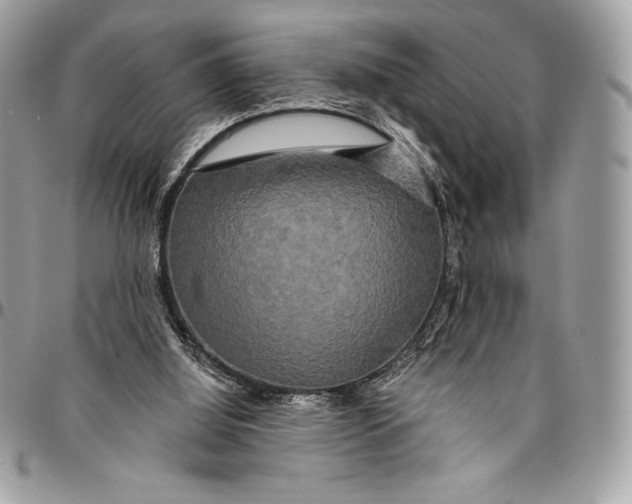 X0000094790060200712071237