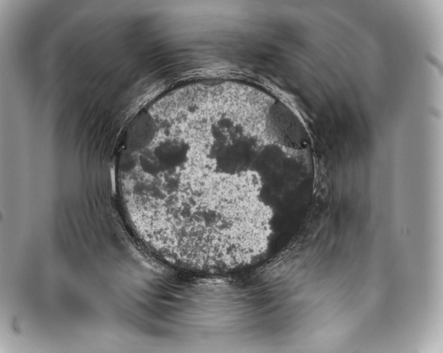 X0000094790061200712071237