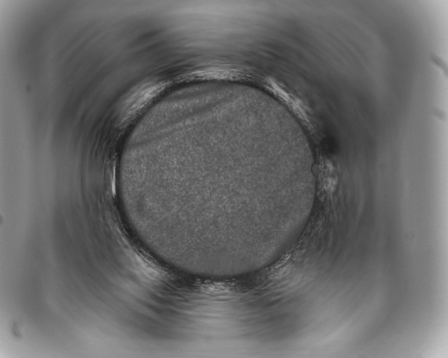 X0000094790062200712071237