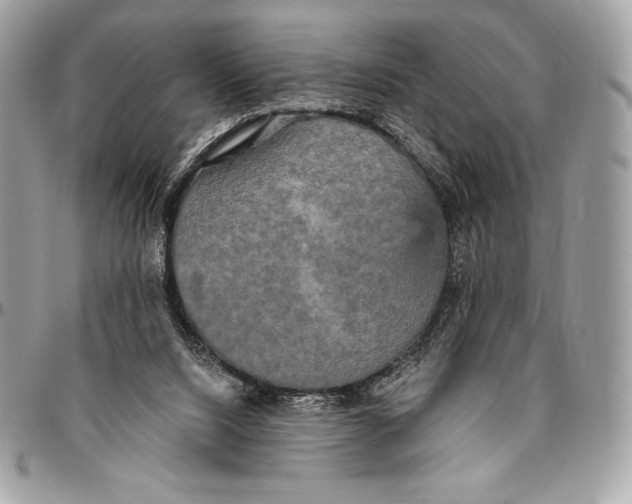 X0000094790064200712071237