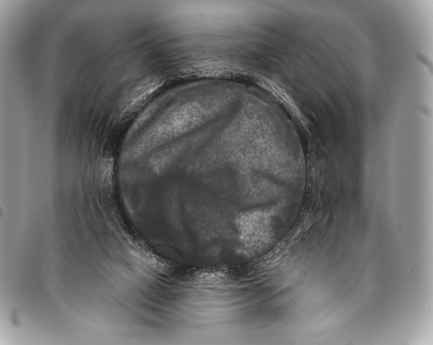 X0000094790066200712071237