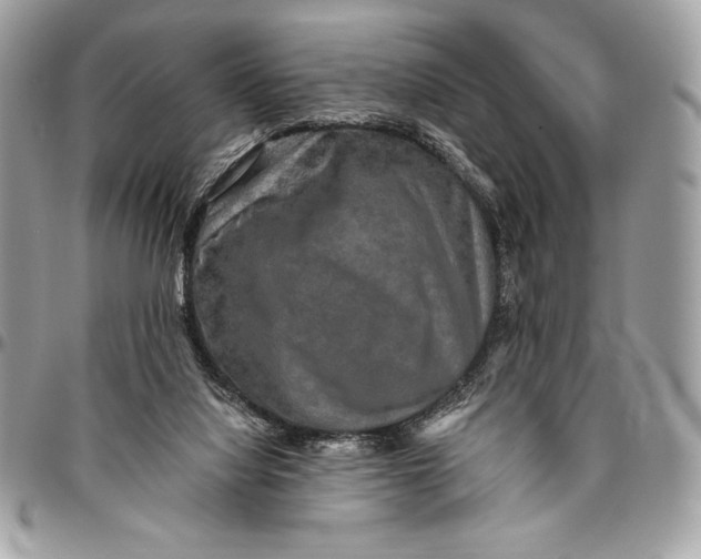 X0000094790068200712071237