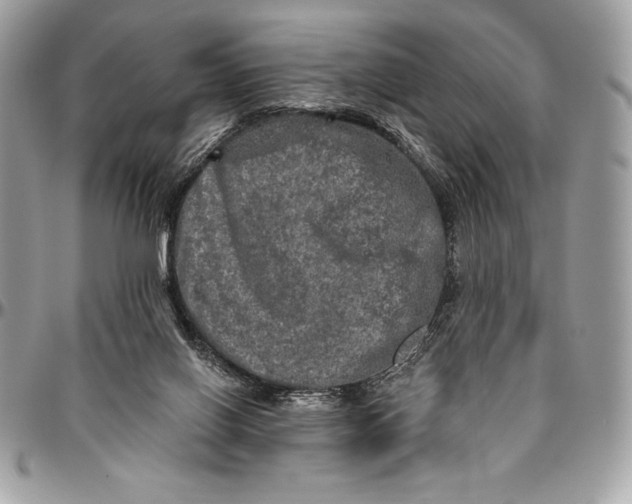 X0000094790070200712071237