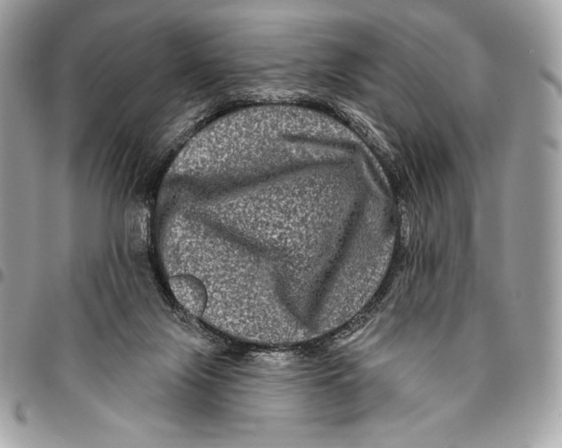 X0000094790071200712071238