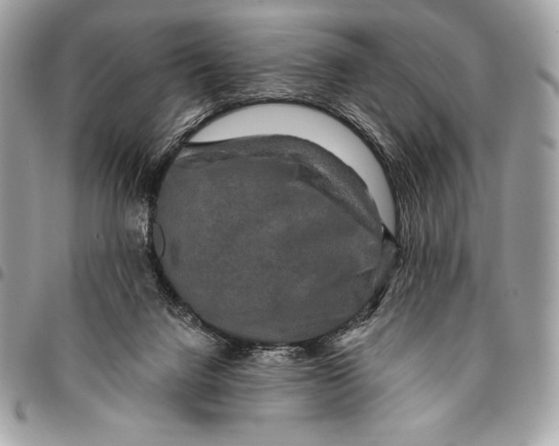 X0000094790072200712071238