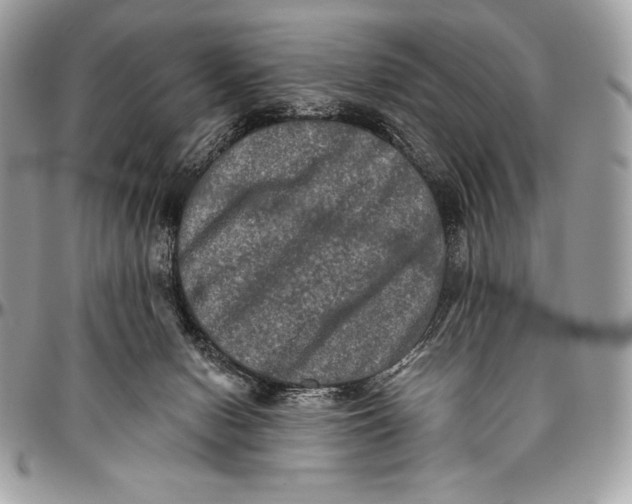 X0000094790078200712071238