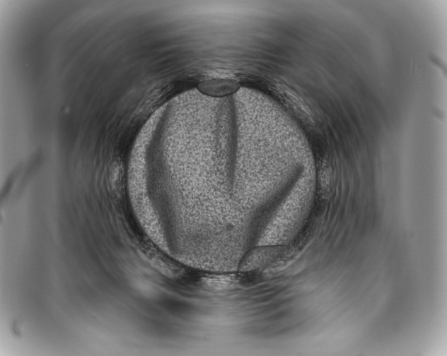 X0000094790079200712071238