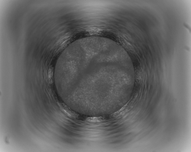 X0000094790082200712071238