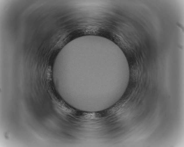 X0000094790083200712071238