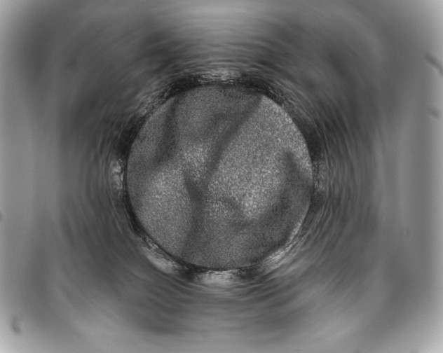 X0000094790086200712071238