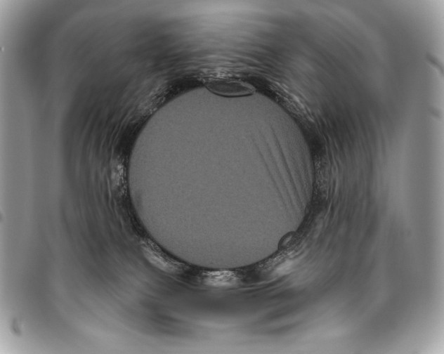 X0000094790087200712071238