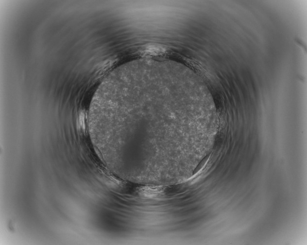 X0000094790094200712071238