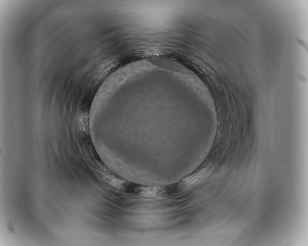 X0000094790096200712071238