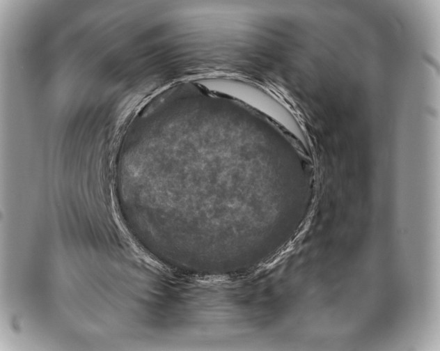 X0000094790097200712071237