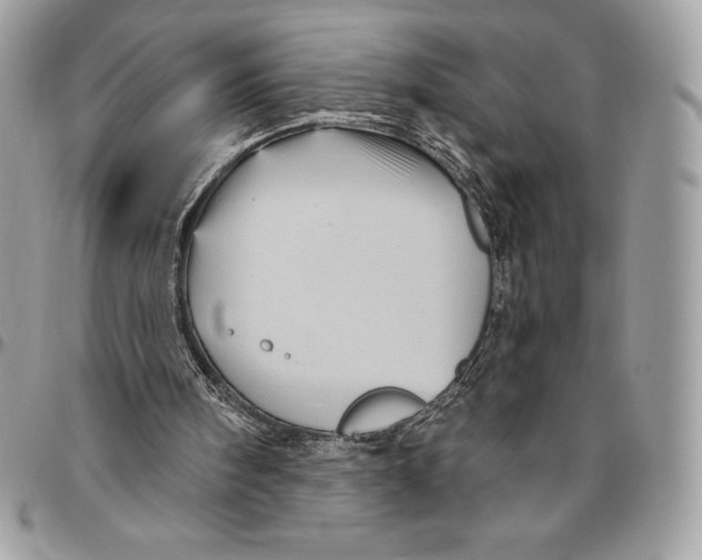 X0000094790098200712071237