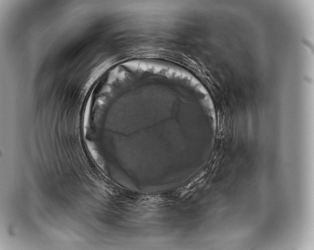 X0000094790099200712071237