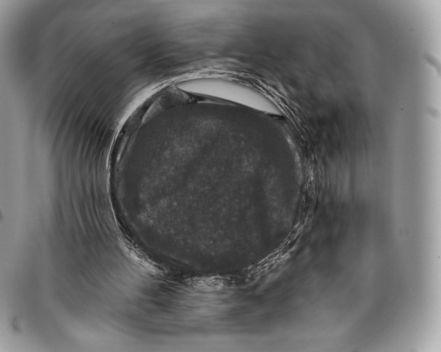 X0000094790100200712071237