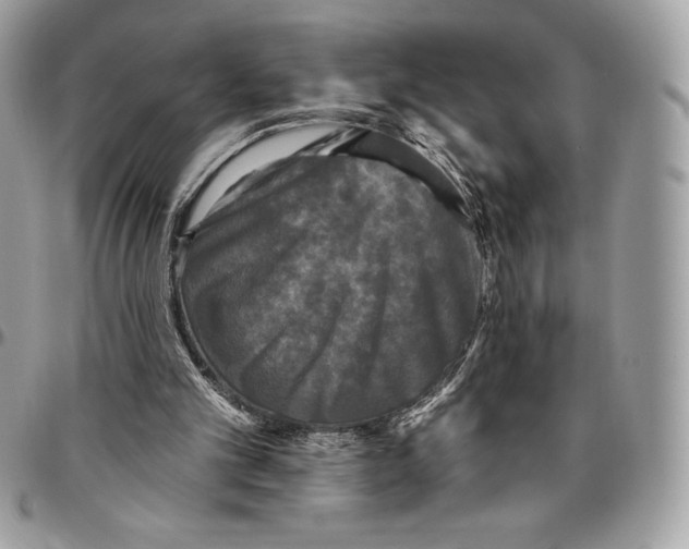 X0000094790101200712071237